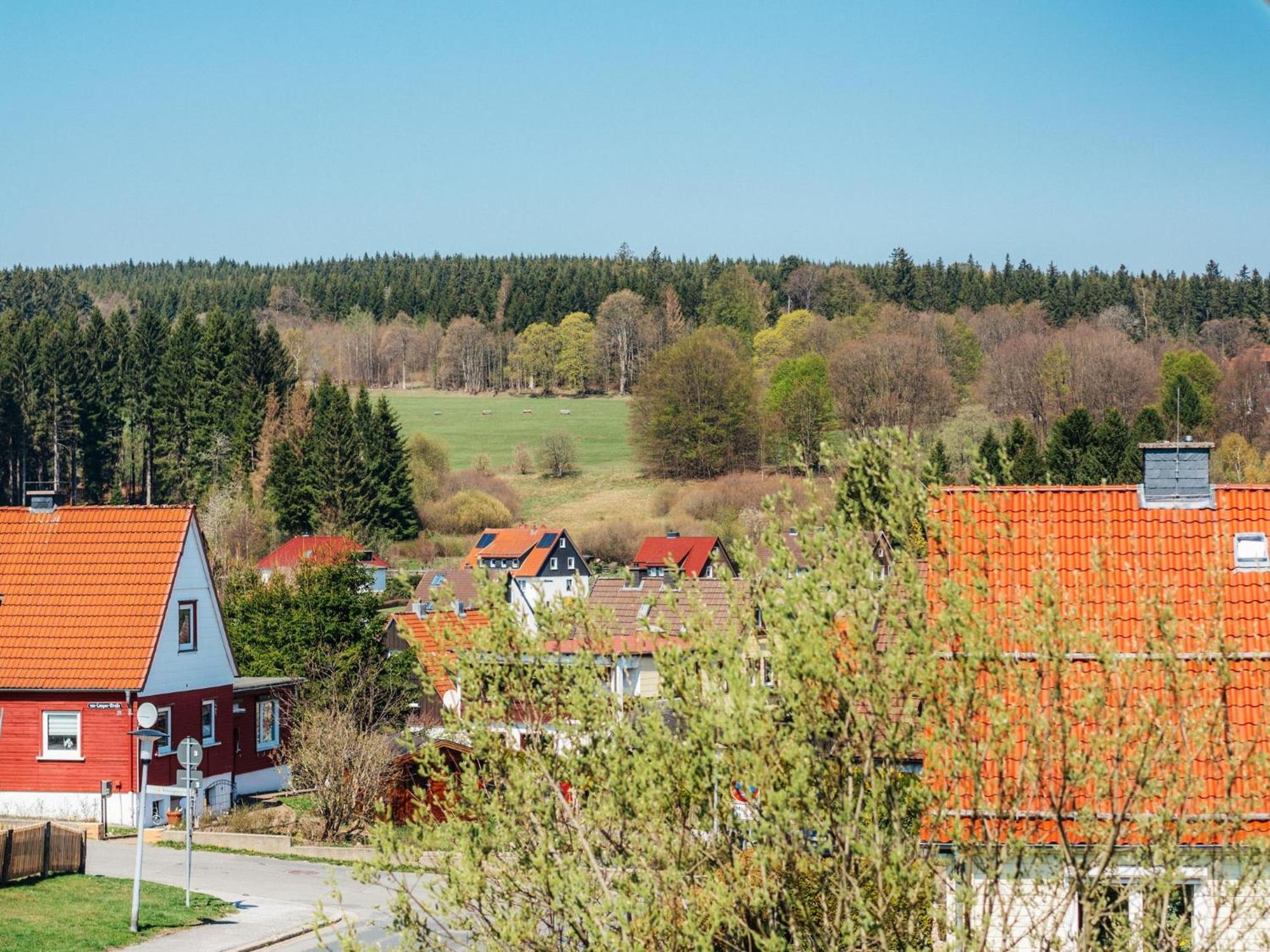 Mirablau Braunlage Lägenhet Exteriör bild